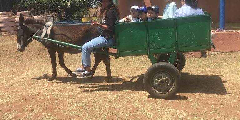 WhatsApp Image 2022-05-31 at 5.33.25 PM